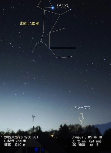カノープス(解説)