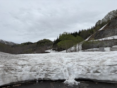 林道除雪終点　536m